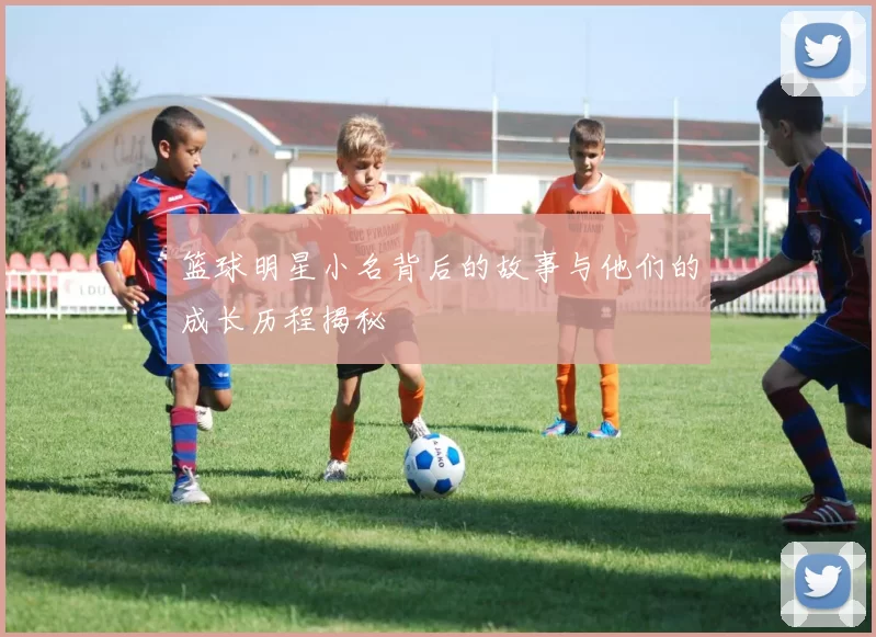 篮球明星小名背后的故事与他们的成长历程揭秘