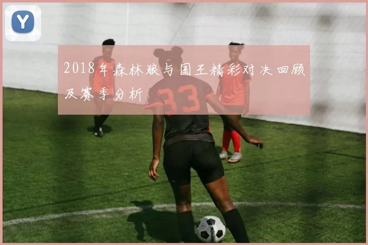 2018年森林狼与国王精彩对决回顾及赛季分析